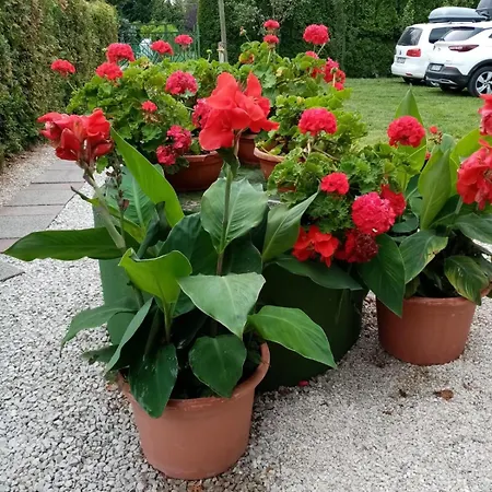 Apartment Mit Pool Direkt Am Balatonmariafurdo